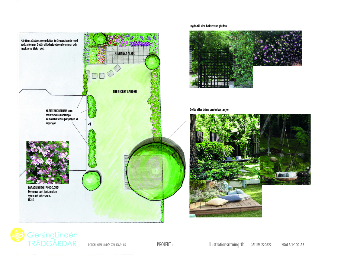Trädgårdsritning och trädgårdsdesign