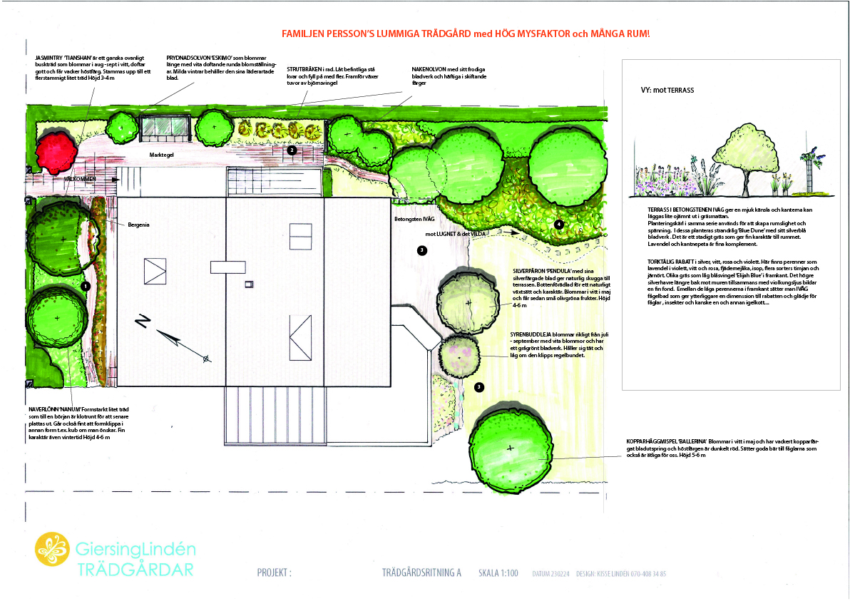 TRÄDGÅRDSRITNING SKALA 100