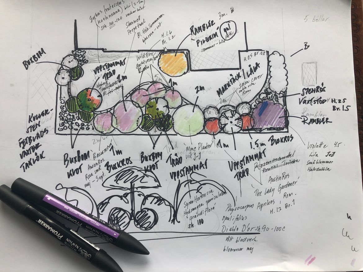 Ritning över hur blommor ska planteras