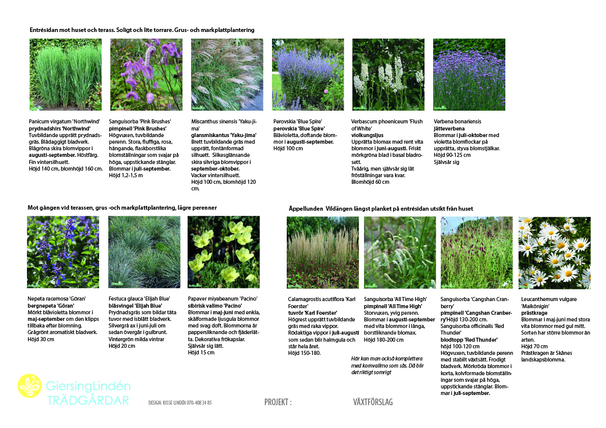 Trädgårdsdesign och växtlista