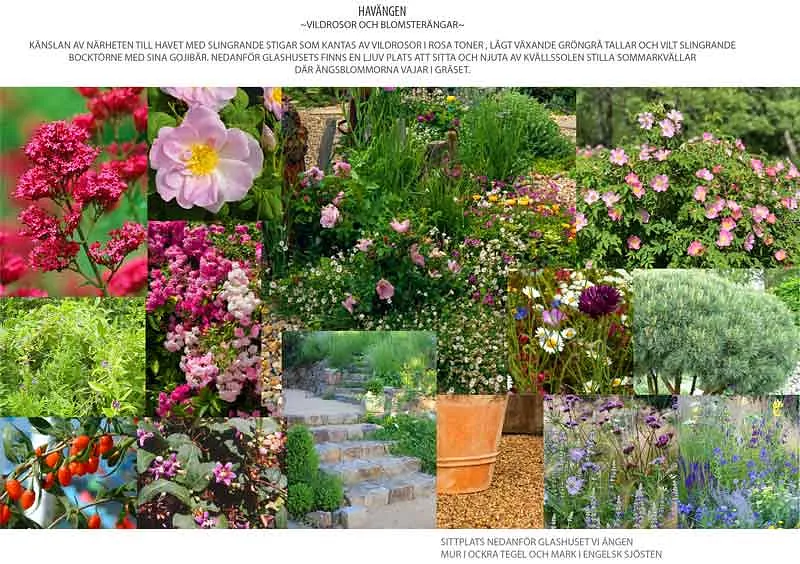 Blommor