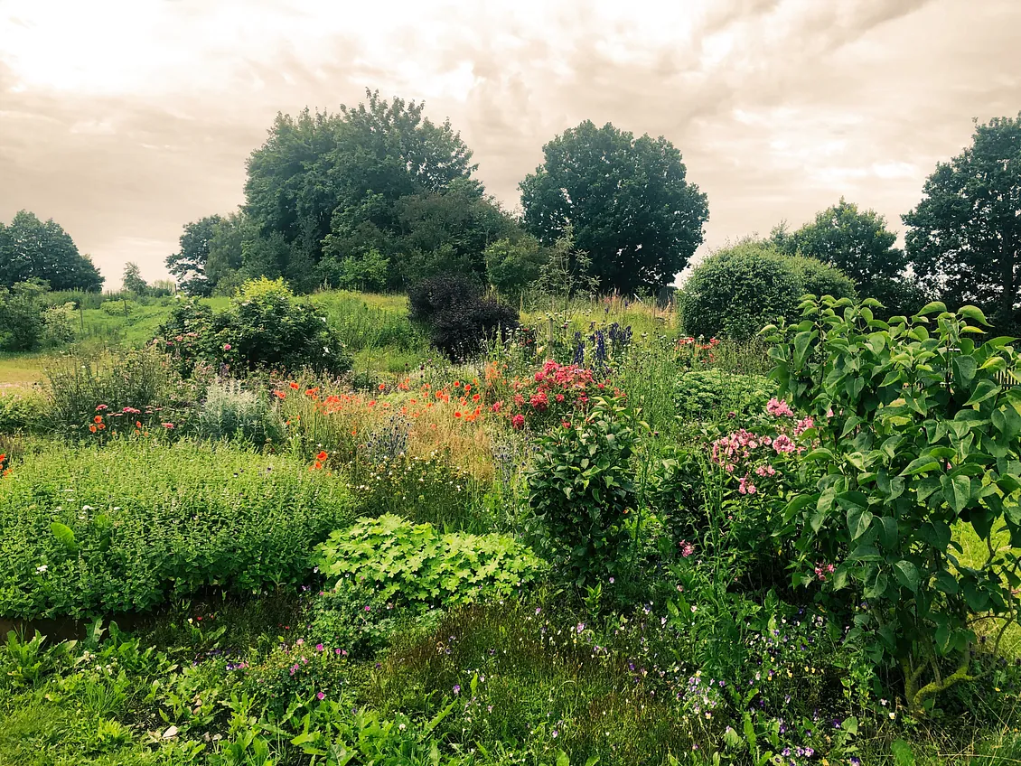 Blomsteräng